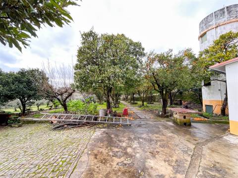 Quinta com 9 Hectares – Natureza, Privacidade e Potencial Único, em Castelo Branco