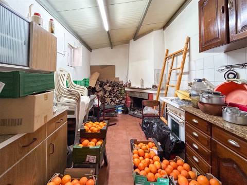 Quinta com 9 Hectares – Natureza, Privacidade e Potencial Único, em Castelo Branco