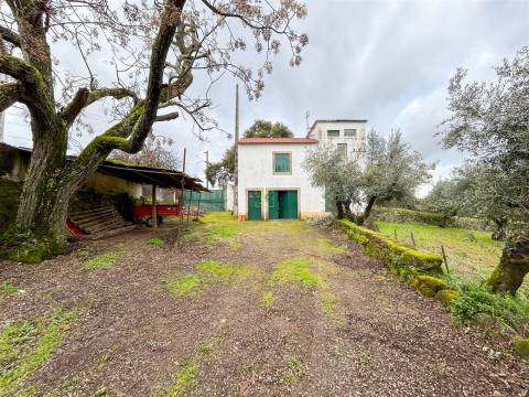 Quinta com 9 Hectares – Natureza, Privacidade e Potencial Único, em Castelo Branco