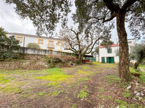 Quinta com 9 Hectares – Natureza, Privacidade e Potencial Único, em Castelo Branco