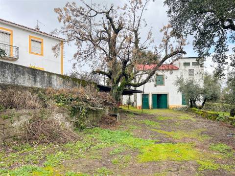 Quinta com 9 Hectares – Natureza, Privacidade e Potencial Único, em Castelo Branco