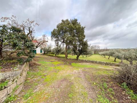 Quinta com 9 Hectares – Natureza, Privacidade e Potencial Único, em Castelo Branco