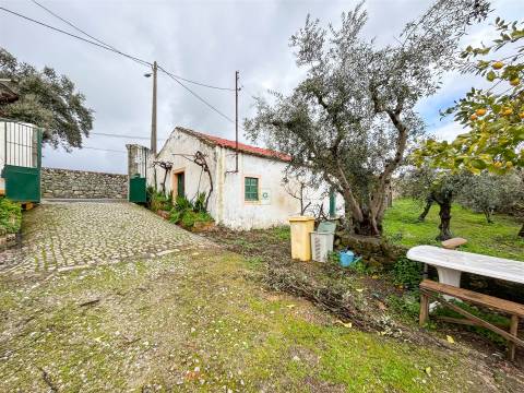 Quinta com 9 Hectares – Natureza, Privacidade e Potencial Único, em Castelo Branco