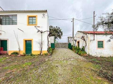 Quinta com 9 Hectares – Natureza, Privacidade e Potencial Único, em Castelo Branco