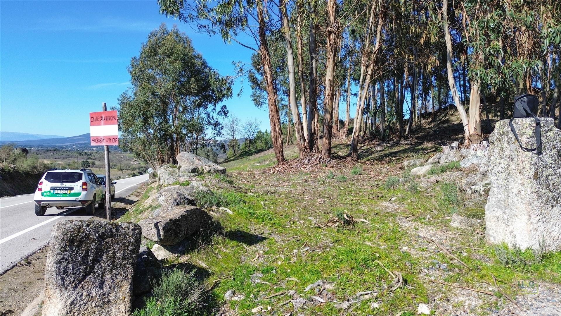 Terreno 1.3 Ha com Poço em Aranhas, Penamacor | €24.900