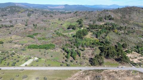 Terreno 1.3 Ha com Poço em Aranhas, Penamacor | €24.900