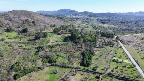 Terreno 1.3 Ha com Poço em Aranhas, Penamacor | €24.900