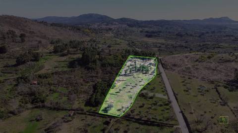 Terreno 1.3 Ha com Poço em Aranhas, Penamacor | €24.900