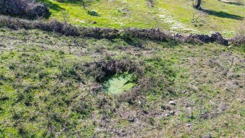 Terreno 1.3 Ha com Poço em Aranhas, Penamacor | €24.900