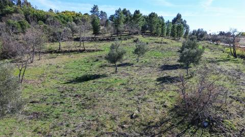 Terreno 1.3 Ha com Poço em Aranhas, Penamacor | €24.900