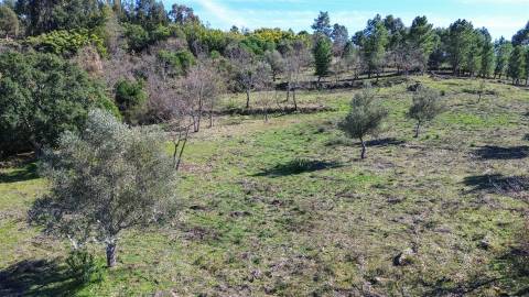 Terreno 1.3 Ha com Poço em Aranhas, Penamacor | €24.900