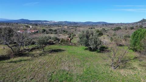 Terreno 1.3 Ha com Poço em Aranhas, Penamacor | €24.900