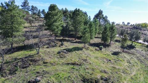 Terreno 1.3 Ha com Poço em Aranhas, Penamacor | €24.900