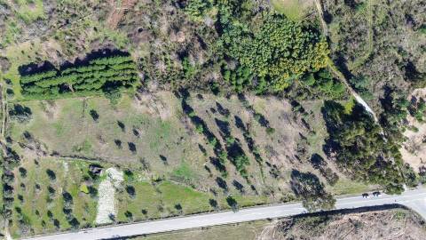 Terreno 1.3 Ha com Poço em Aranhas, Penamacor | €24.900