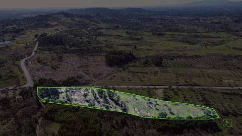Terreno 1.3 Ha com Poço em Aranhas, Penamacor | €24.900
