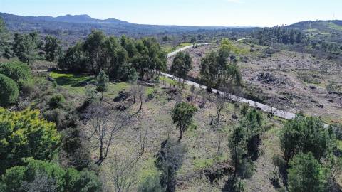 Terreno 1.3 Ha com Poço em Aranhas, Penamacor | €24.900