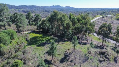 Terreno 1.3 Ha com Poço em Aranhas, Penamacor | €24.900