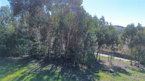 Terreno 1.3 Ha com Poço em Aranhas, Penamacor | €24.900