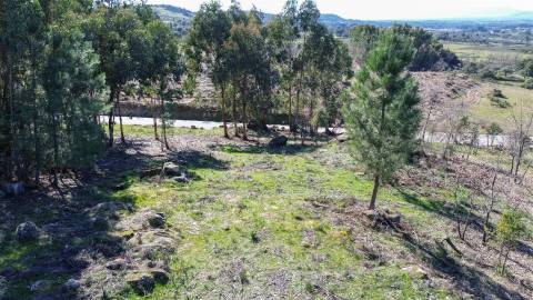 Terreno 1.3 Ha com Poço em Aranhas, Penamacor | €24.900