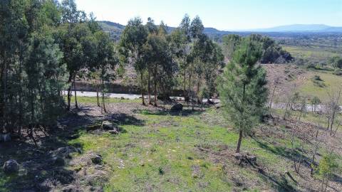 Terreno 1.3 Ha com Poço em Aranhas, Penamacor | €24.900