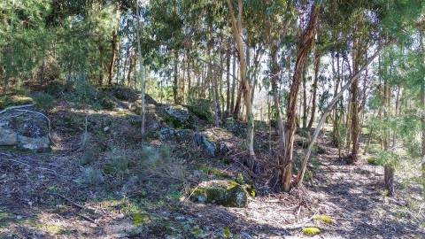 Terreno 1.3 Ha com Poço em Aranhas, Penamacor | €24.900