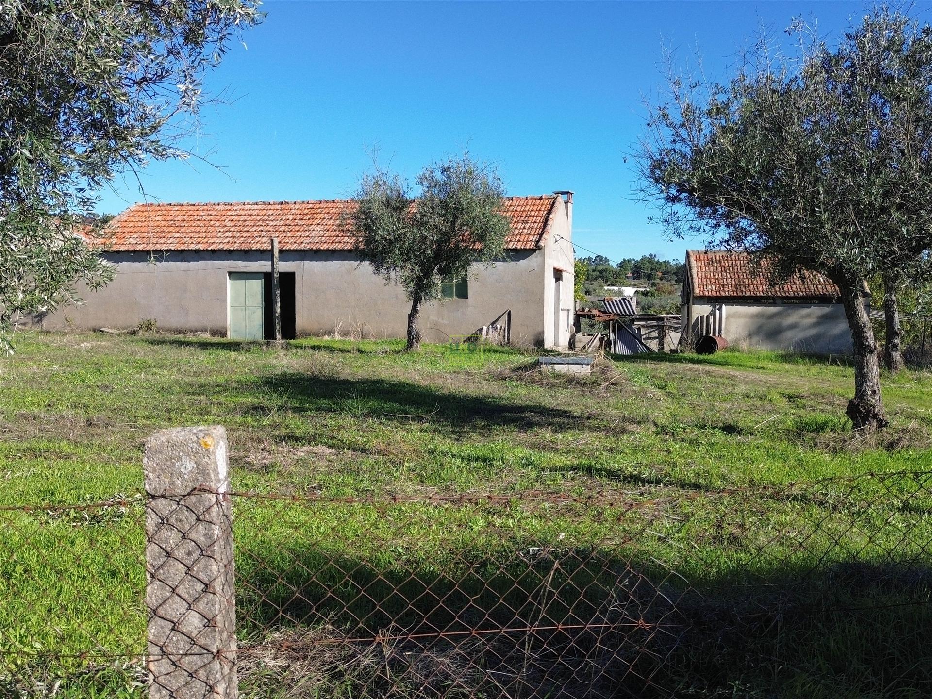 Terreno misto em Aldeia de João Pires