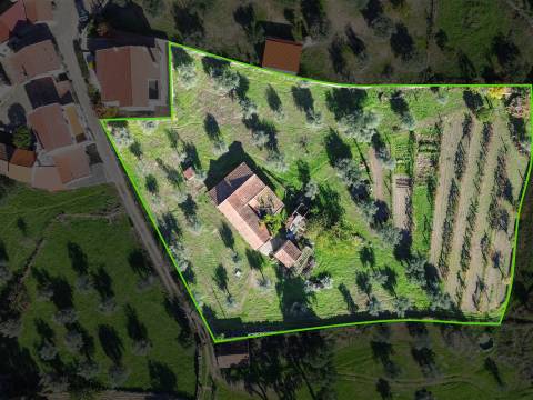 Terreno misto em Aldeia de João Pires