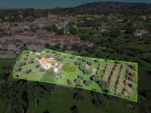 Terreno misto em Aldeia de João Pires