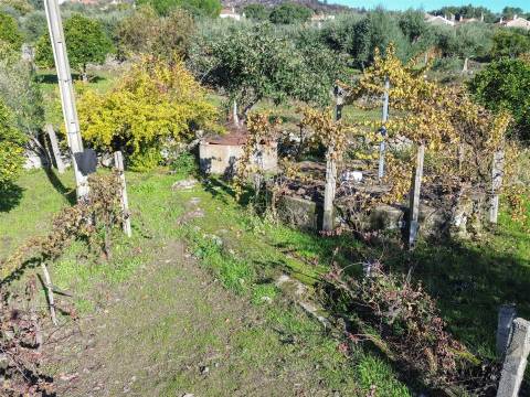 Terreno misto em Aldeia de João Pires