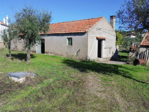 Terreno misto em Aldeia de João Pires