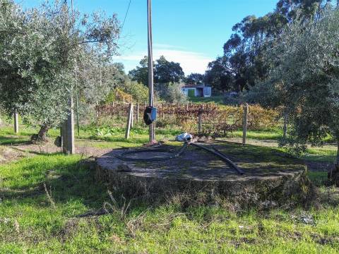 Terreno misto em Aldeia de João Pires