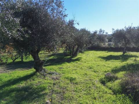 Terreno misto em Aldeia de João Pires