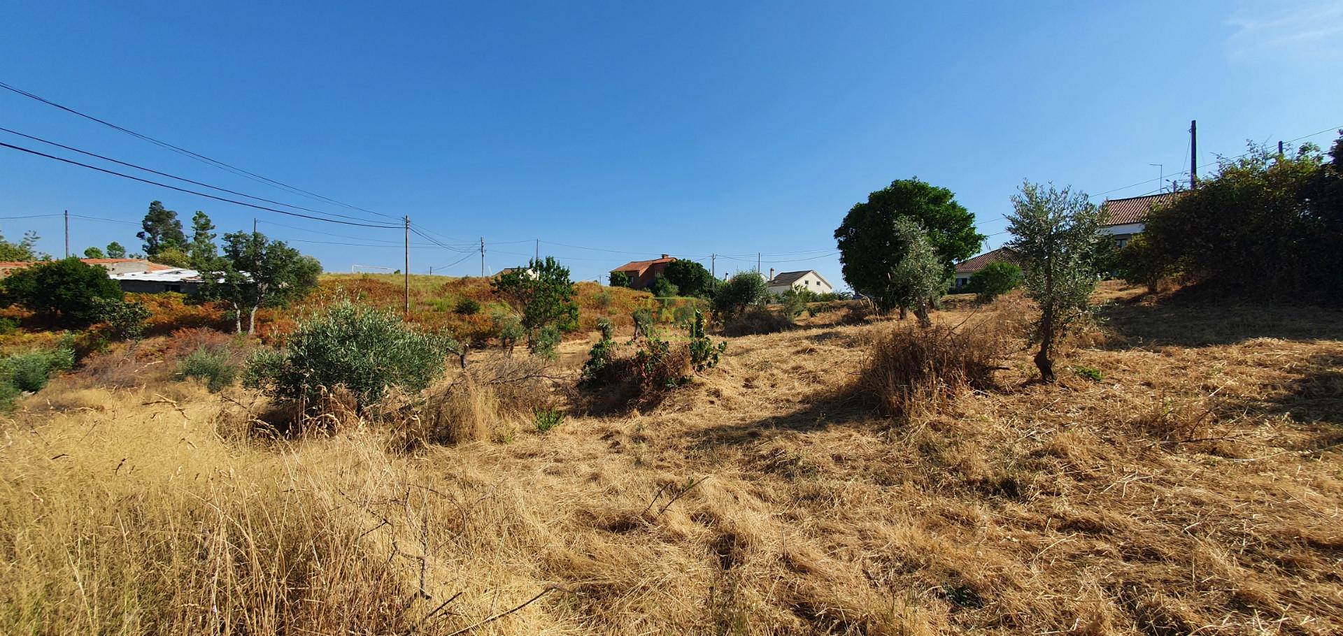 Terreno  Venda em São Vicente da Beira,Castelo Branco