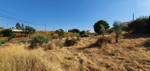 Terreno  Venda em São Vicente da Beira,Castelo Branco