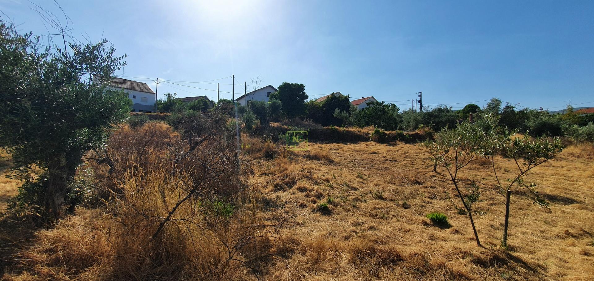 Terreno  Venda em São Vicente da Beira,Castelo Branco