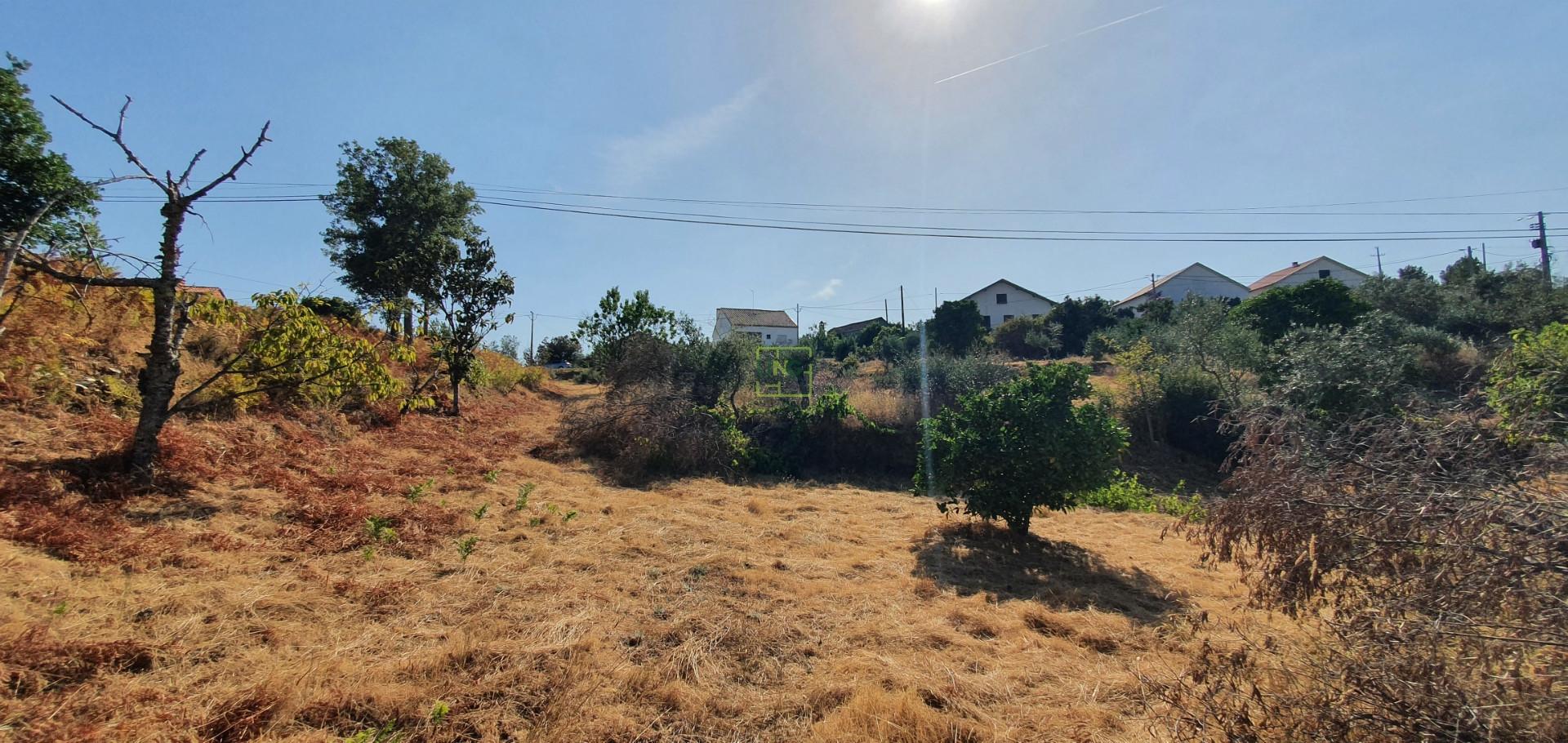 Terreno  Venda em São Vicente da Beira,Castelo Branco