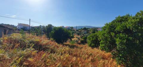 Terreno  Venda em São Vicente da Beira,Castelo Branco