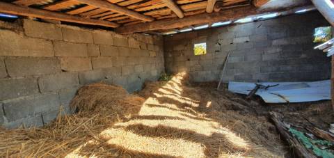 Terreno  Venda em São Vicente da Beira,Castelo Branco