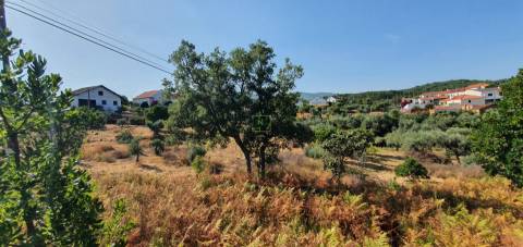 Terreno  Venda em São Vicente da Beira,Castelo Branco