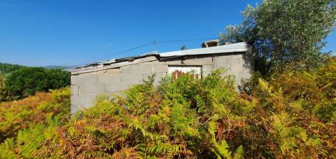 Terreno  Venda em São Vicente da Beira,Castelo Branco
