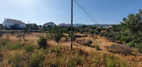 Terreno  Venda em São Vicente da Beira,Castelo Branco