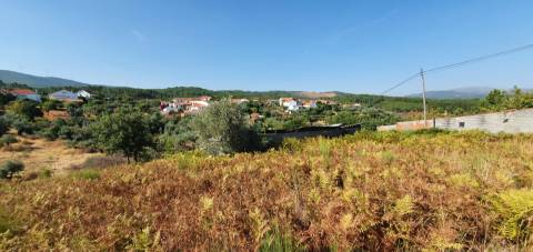 Terreno  Venda em São Vicente da Beira,Castelo Branco