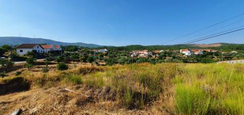 Terreno  Venda em São Vicente da Beira,Castelo Branco