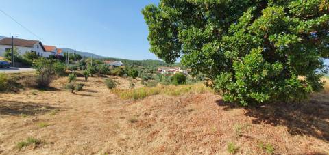 Terreno  Venda em São Vicente da Beira,Castelo Branco
