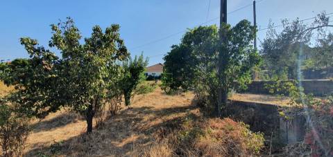 Terreno  Venda em São Vicente da Beira,Castelo Branco