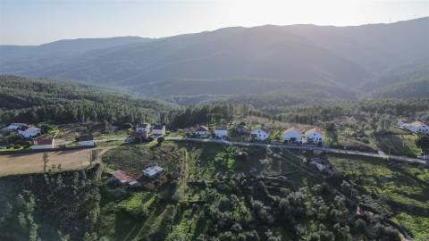 Terreno  Venda em São Vicente da Beira,Castelo Branco