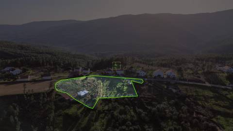 Terreno  Venda em São Vicente da Beira,Castelo Branco