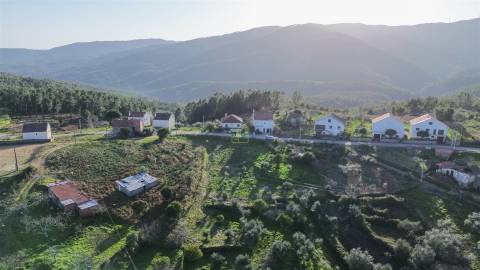 Terreno  Venda em São Vicente da Beira,Castelo Branco