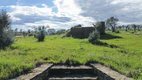 Quinta com Ruína e Água em Juncal do Campo | Castelo Branco