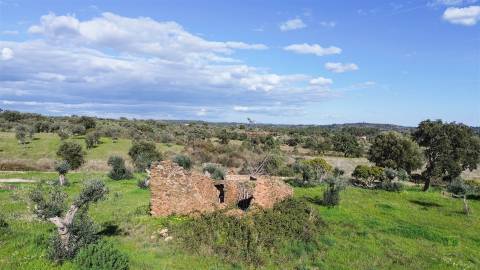 Quinta com Ruína e Água em Juncal do Campo | Castelo Branco